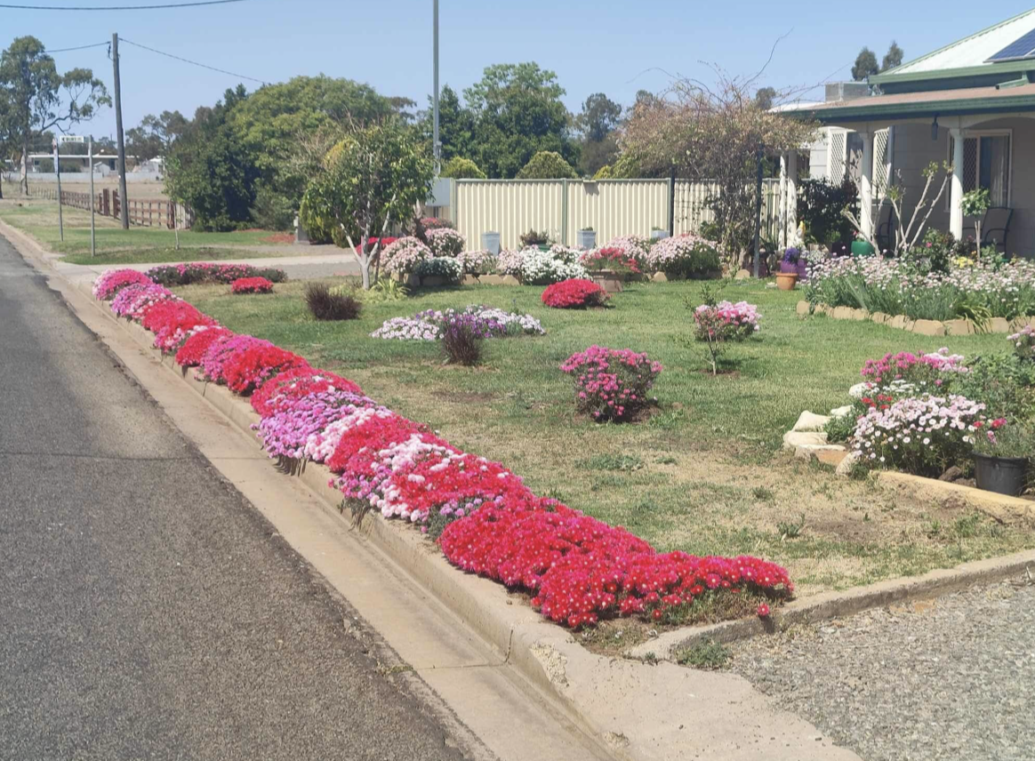 Open gardens this Saturday