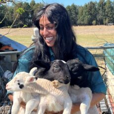 Rare phenomenon of triplet lambs really is a sight to see