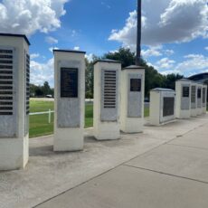 Athletes’ excellence to be celebrated at Sporting Wall of Fame unveiling