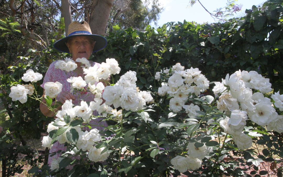 Much-loved flower show returns on Saturday