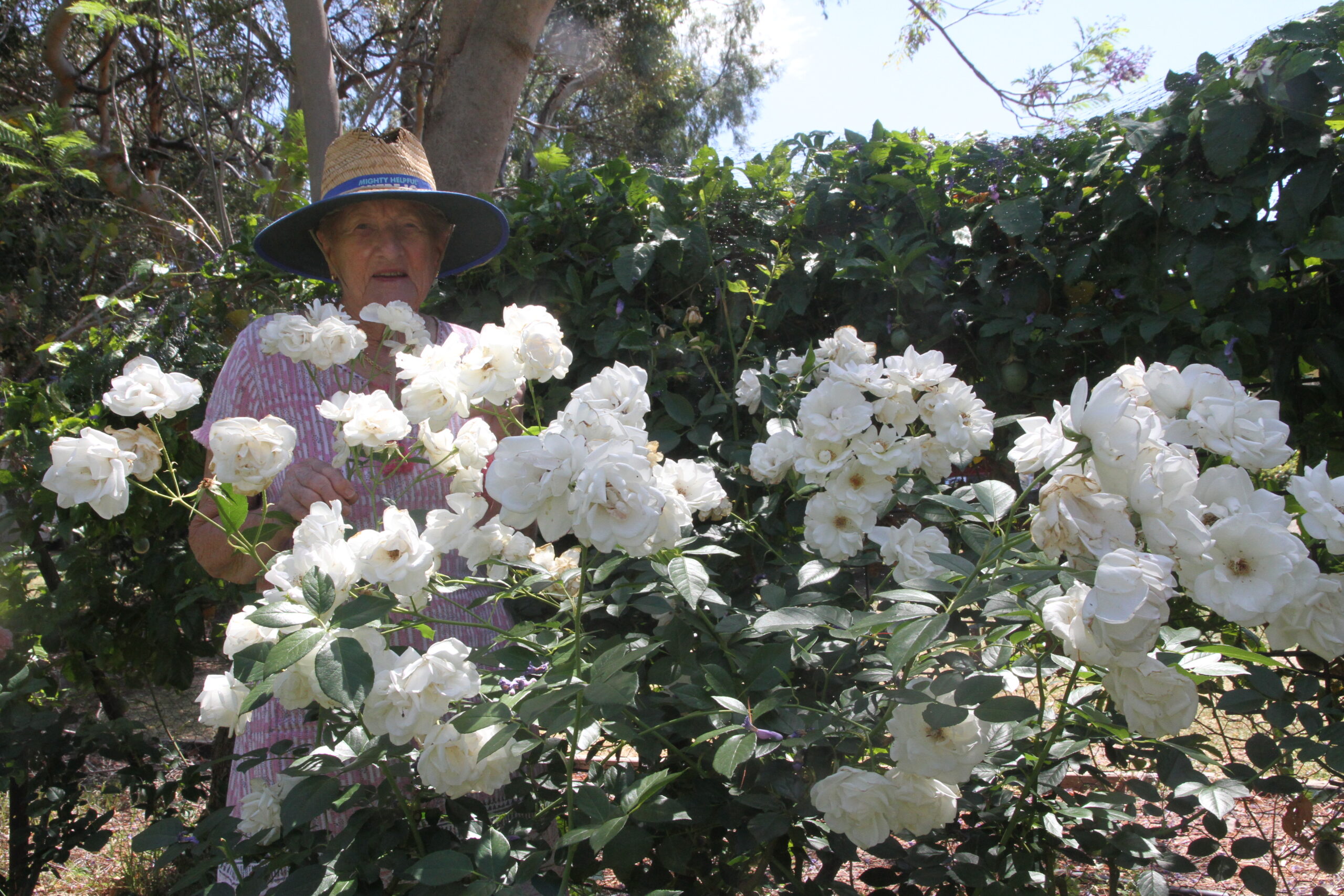 Much-loved flower show returns on Saturday