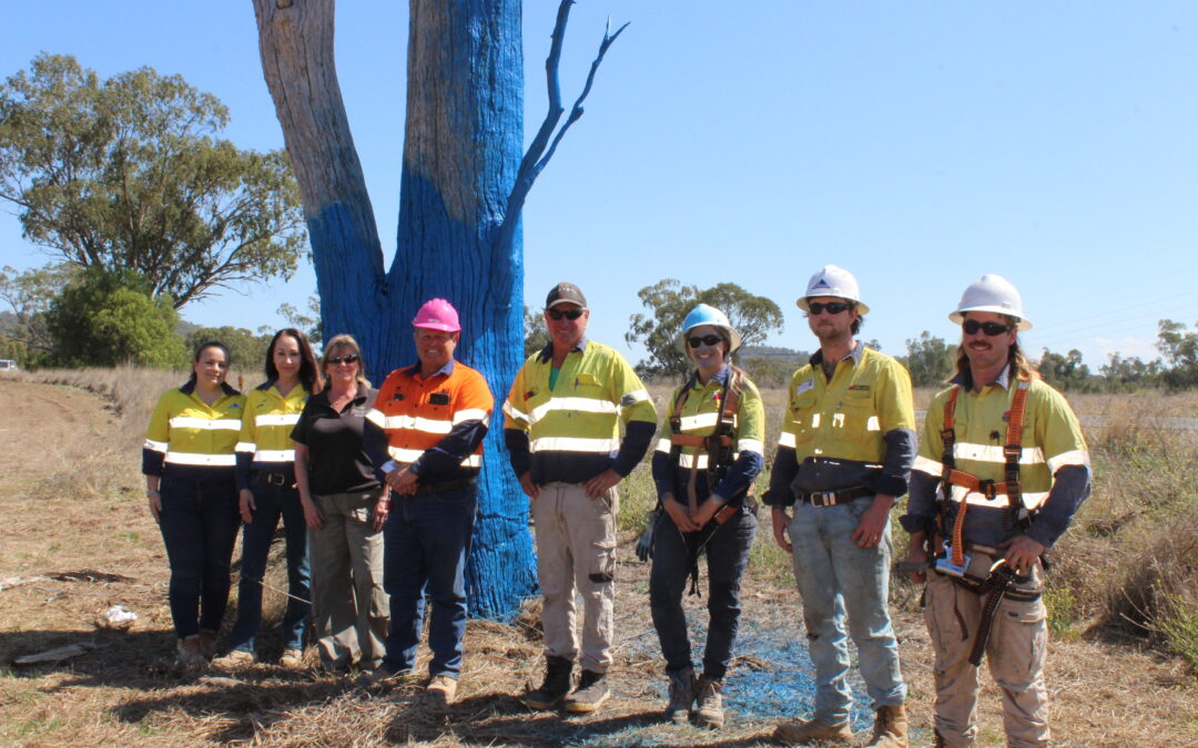 Boggabri and District’s third blue tree