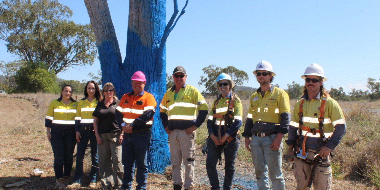 Boggabri and District’s third blue tree