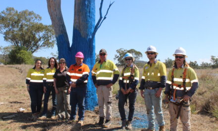 Boggabri and District’s third blue tree
