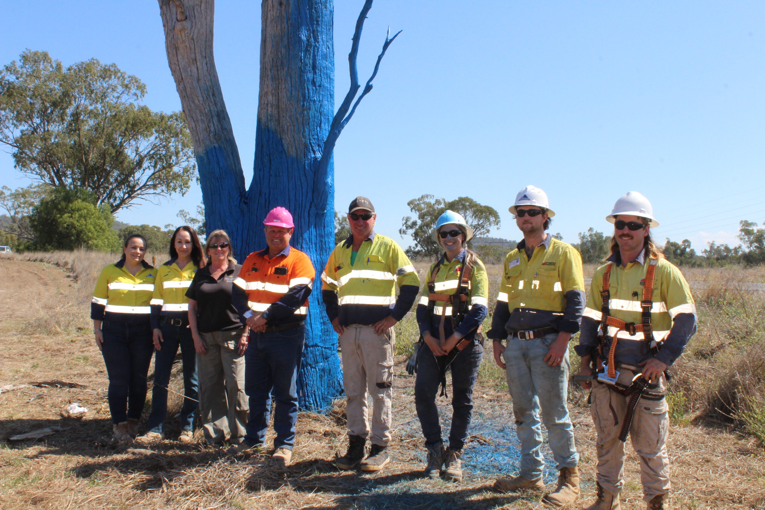 Boggabri and District’s third blue tree