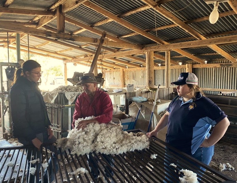 Putting theory into action in the shearing shed