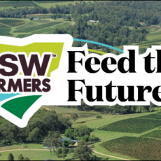 Rising pest costs is concerning: NSW Farmers