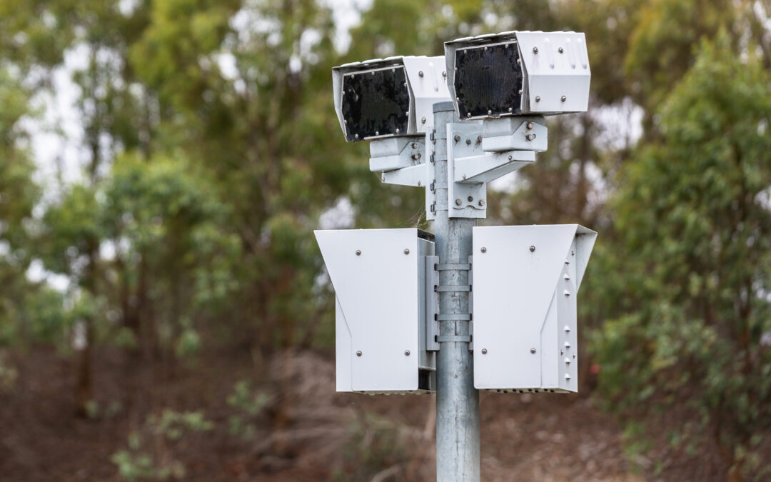 Mobile phone cameras to now also enforce seatbelt compliance on NSW roads