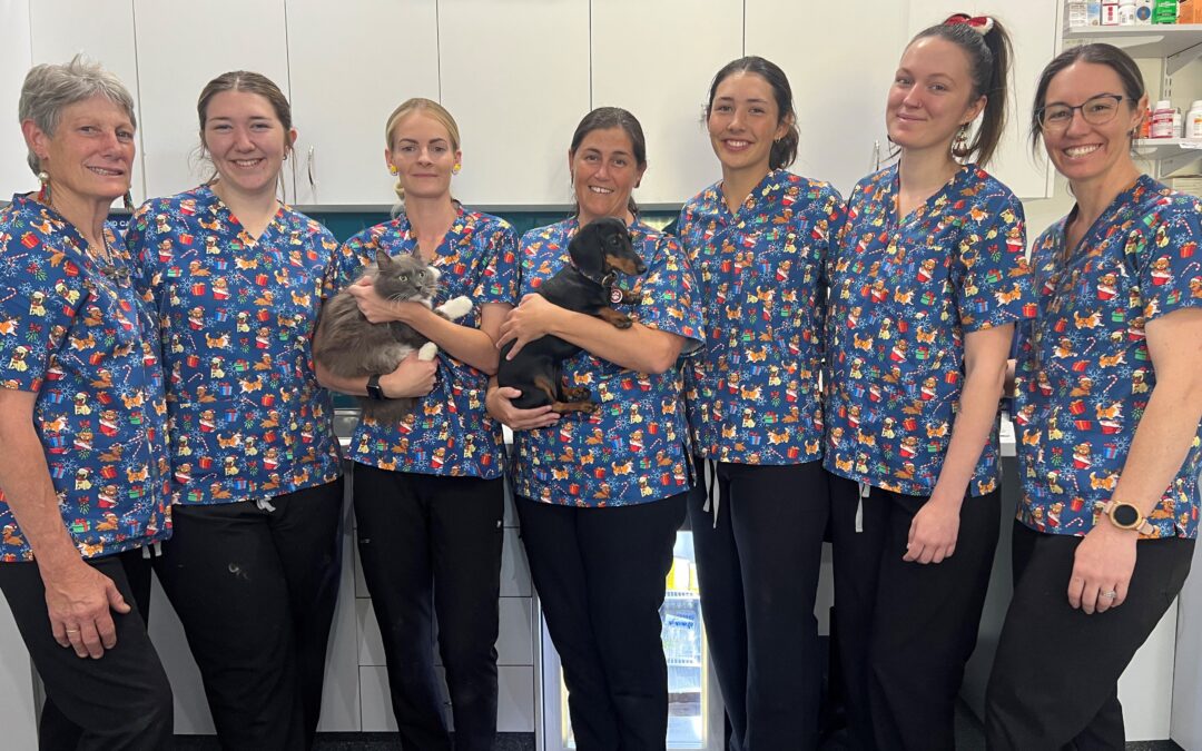 Allpets Veterinary Clinic  celebrates five years