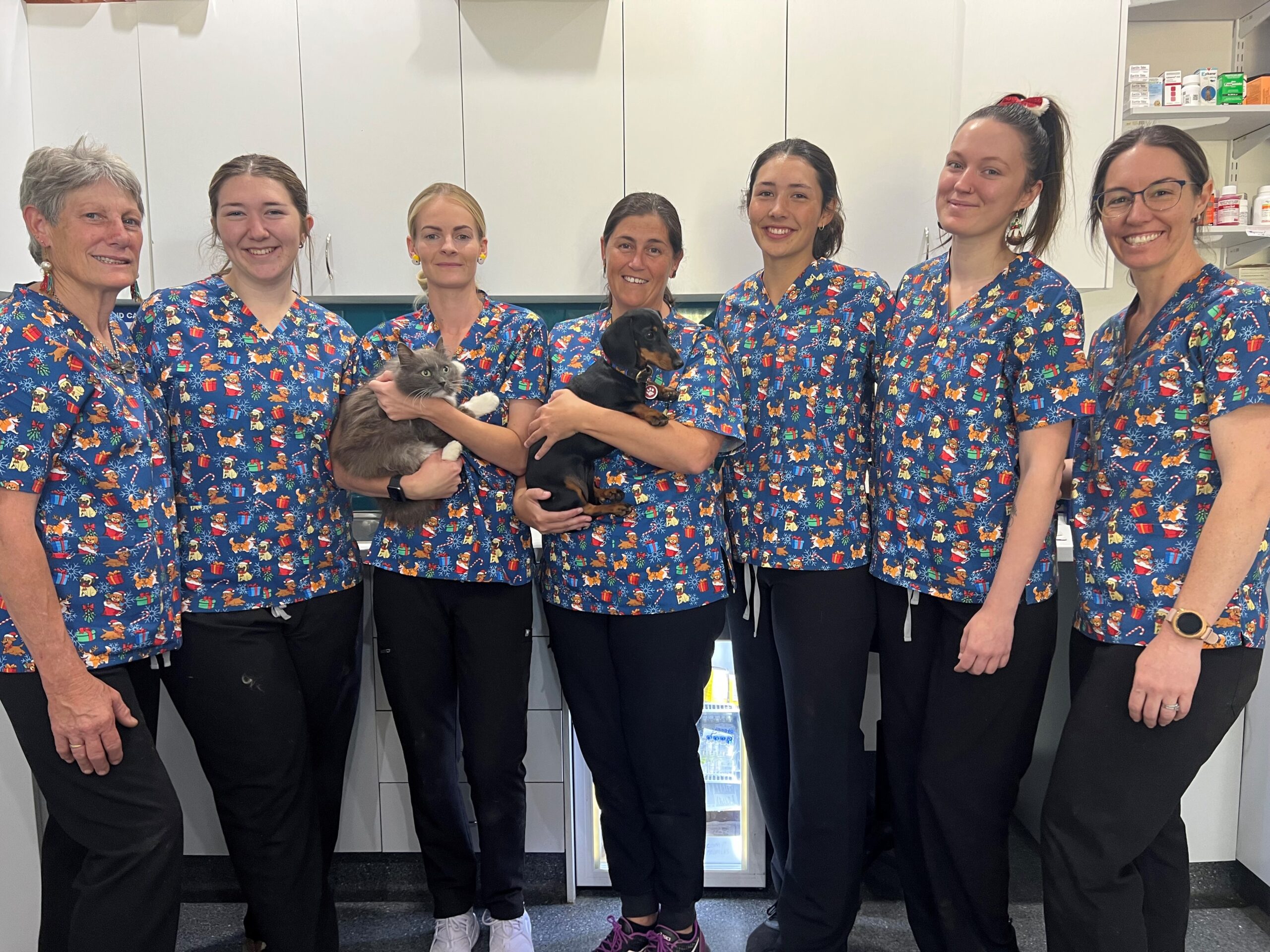 Allpets Veterinary Clinic  celebrates five years