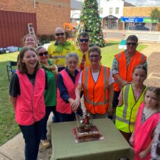 Chamber’s community Christmas  tree ready for tenth festive season