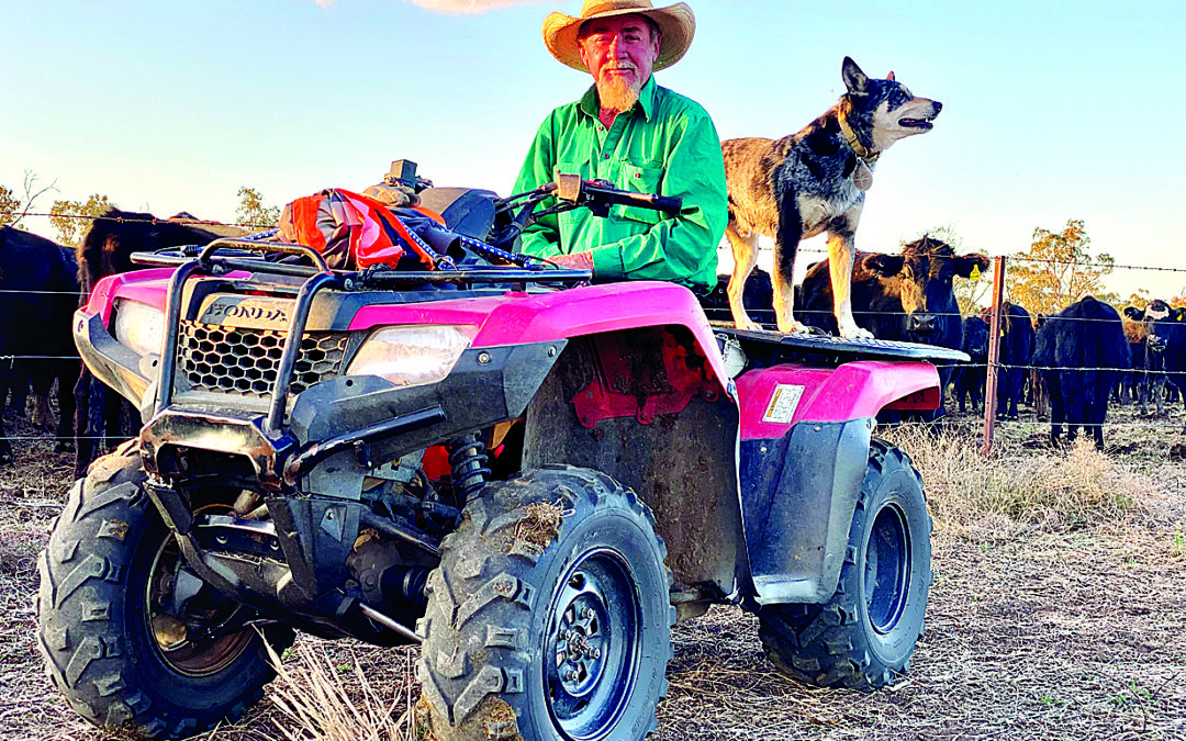 Life on the long paddock