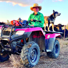 Life on the long paddock