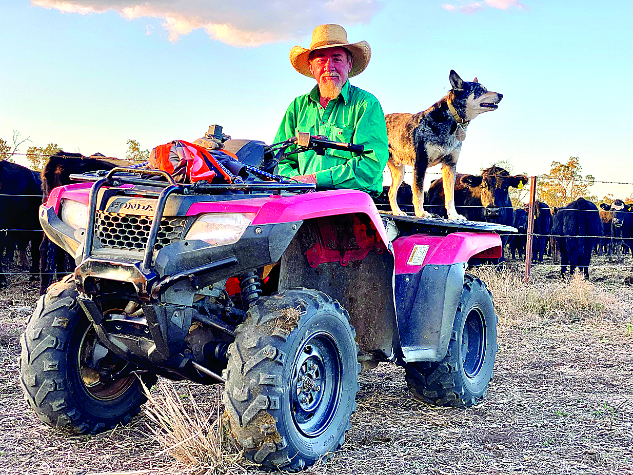 Life on the long paddock