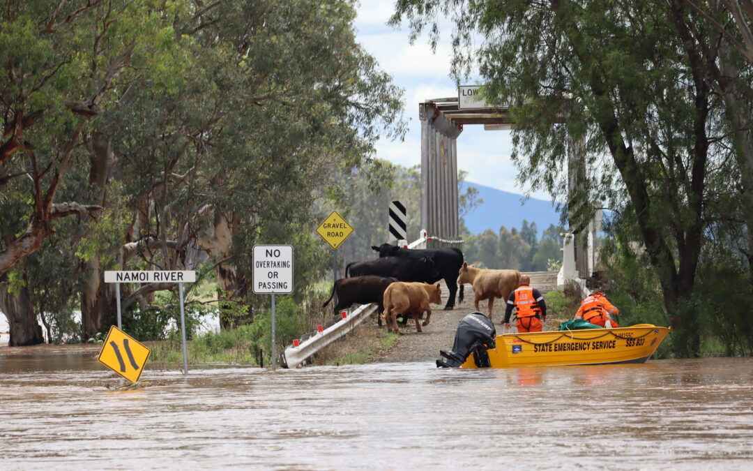 Boggabri flood study on exhibition, information sessions next week