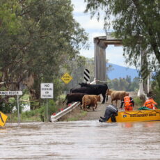 Boggabri flood study on exhibition, information sessions next week