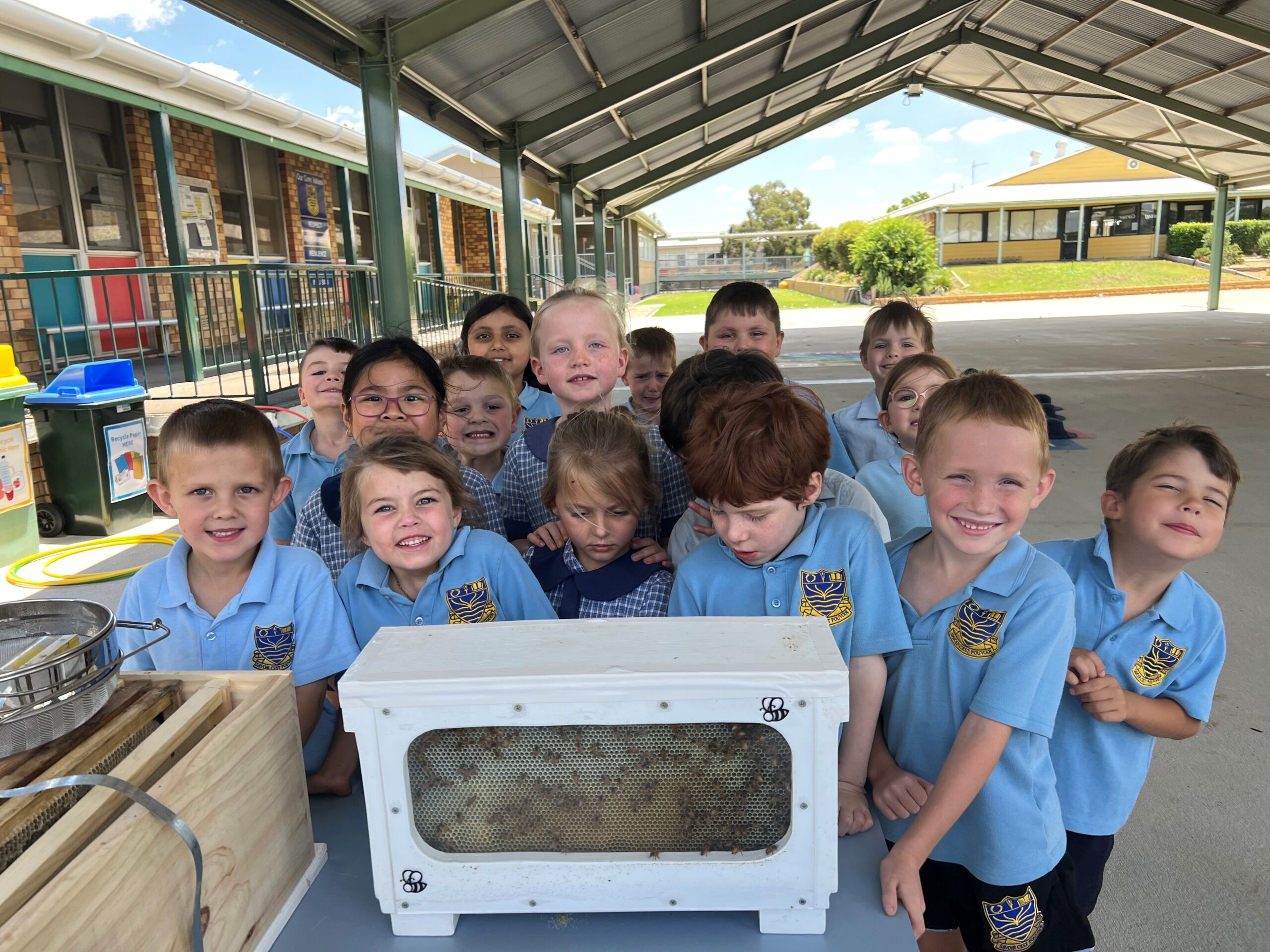Where would we ‘bee’ without our pollinators?