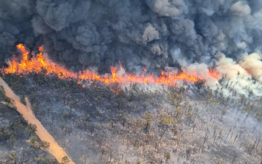 Forest fire nearing 65,000 hectares on Monday