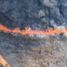 Crews and aircraft deployed to battle Narrabri fires