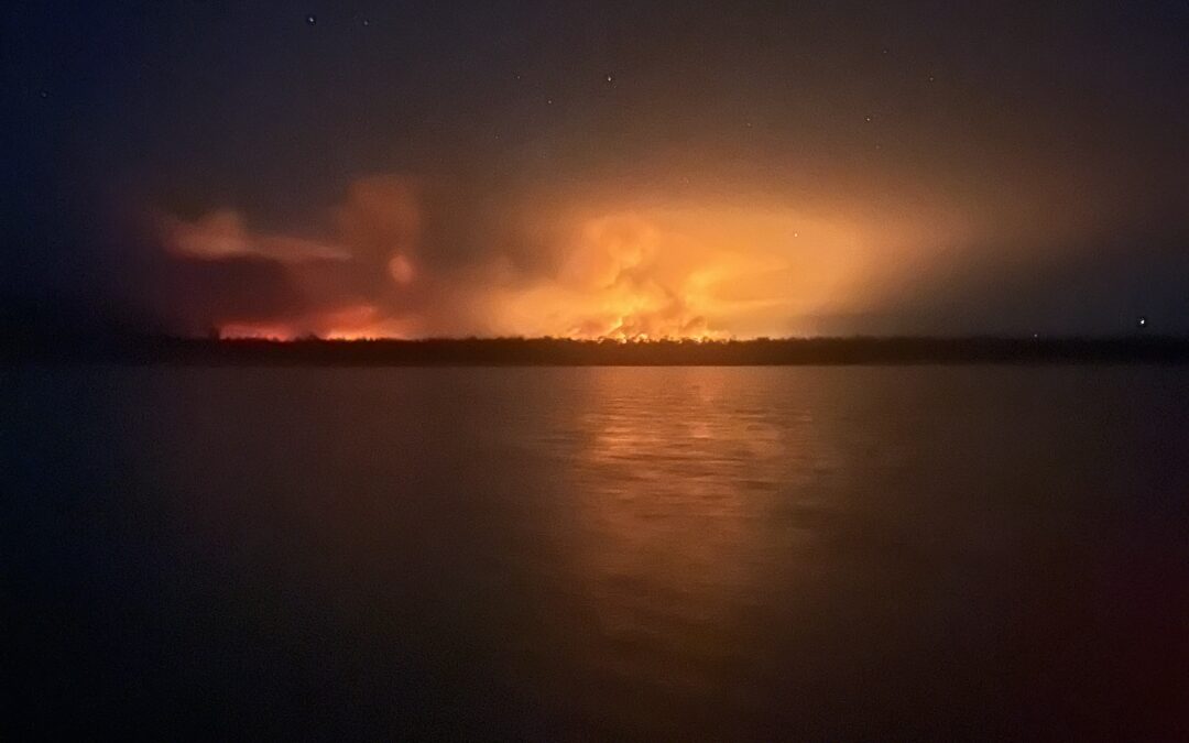 Welcome rain eases forest fire’s fury