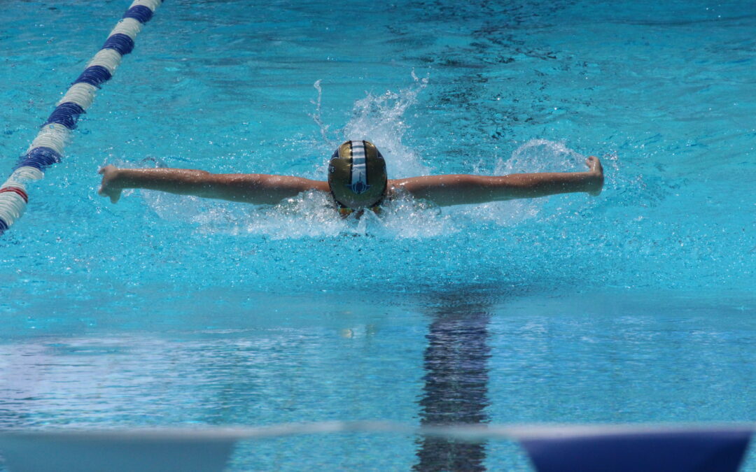 Narrabri Stingrays Swimming Club’s annual carnival gets a big tick of approval