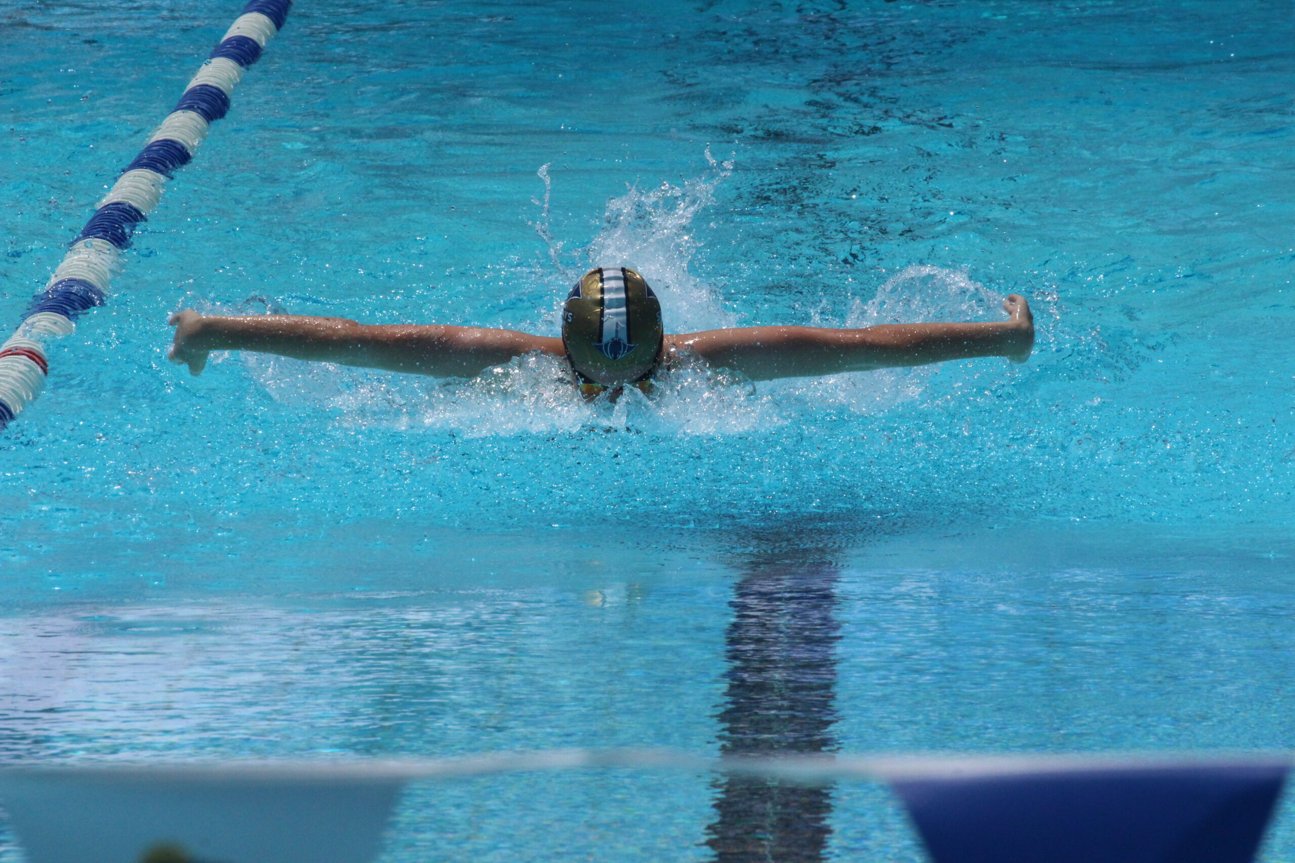Narrabri Stingrays Swimming Club’s annual carnival gets a big tick of approval
