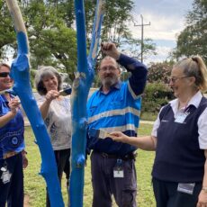 Hospital gives tree a ‘blue lease on life’, joining positive mental health campaign