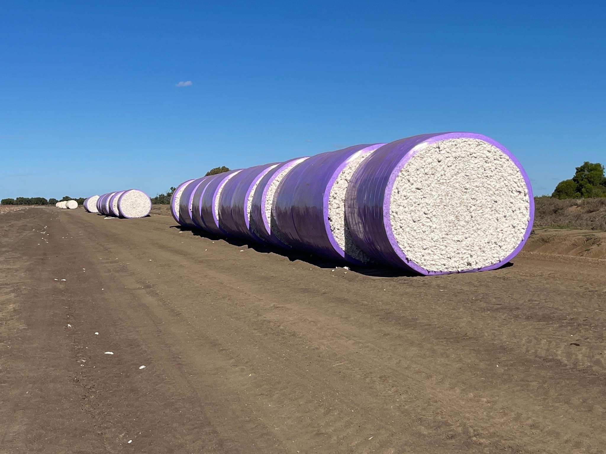 Cotton communities wrapped with generous support from CGS and PPS