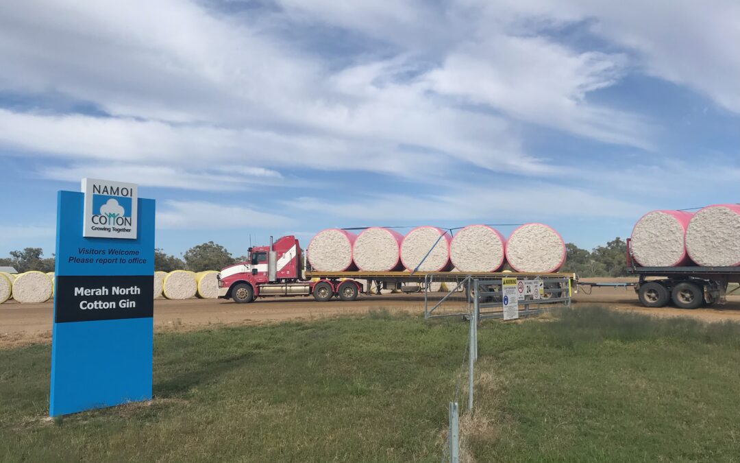 Namoi Cotton set for international takeover
