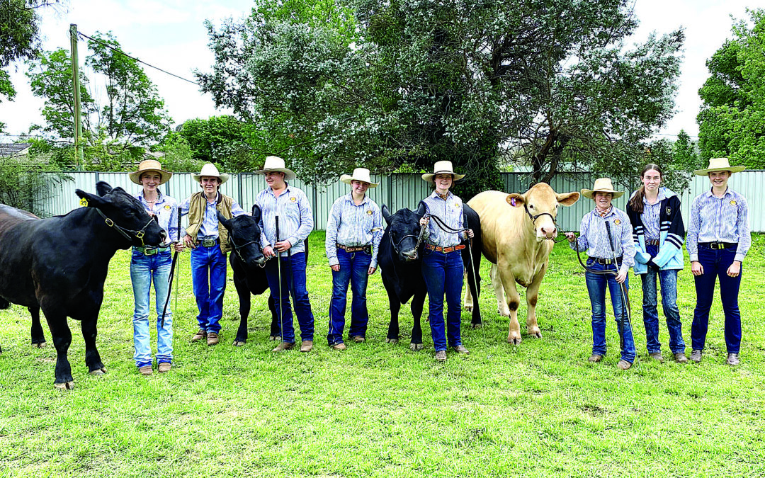 Northern Schools steer competition