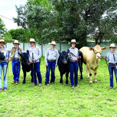 Northern Schools steer competition