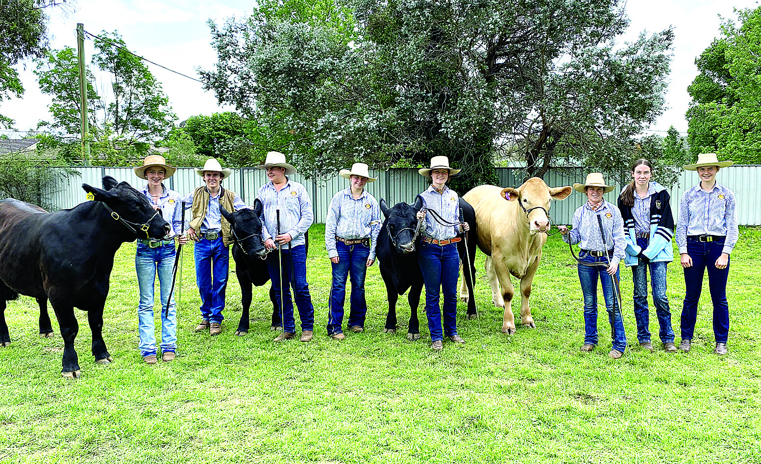 Northern Schools steer competition