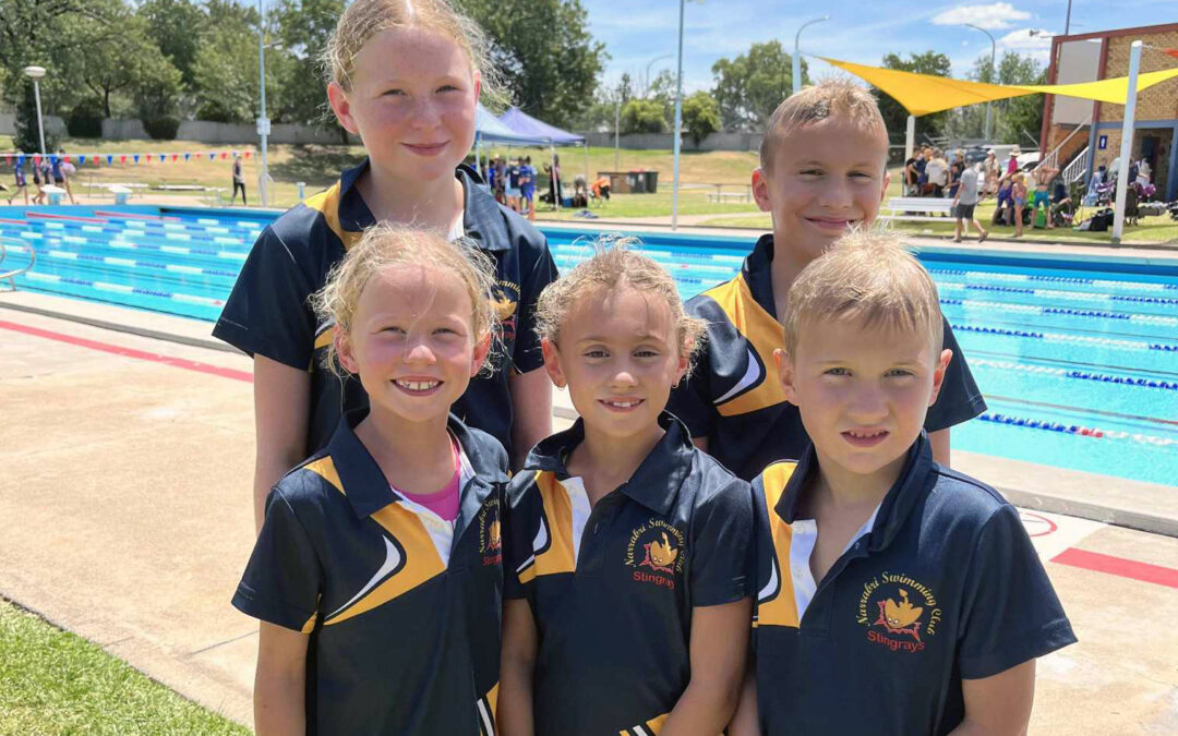 Stingray season continues with impressive results at Tamworth City long course carnival