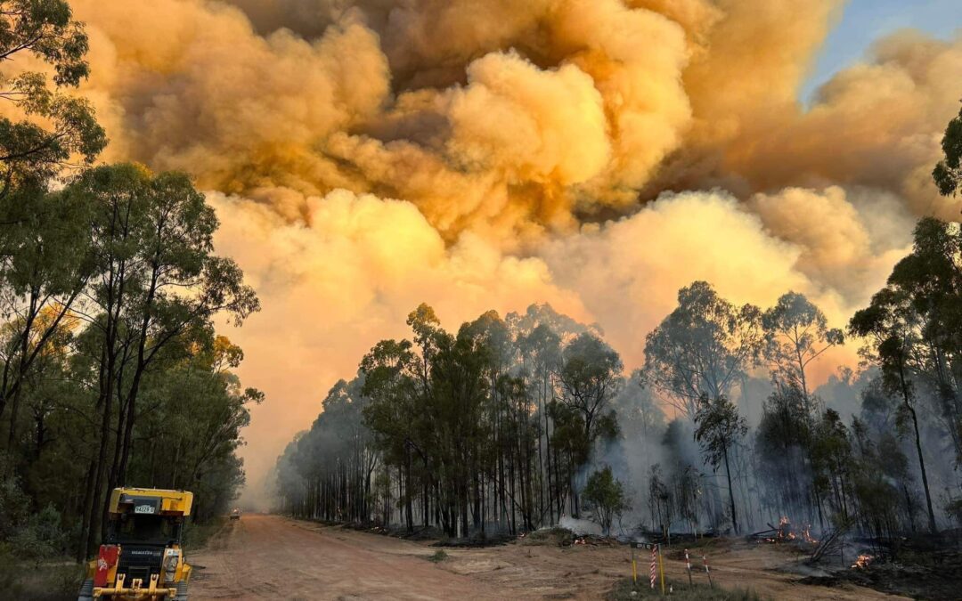 Into the heart of the bushfires: Planning for the unpredictable