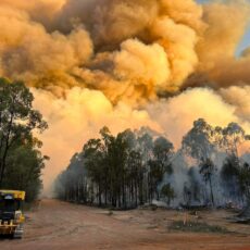 Into the heart of the bushfires: Planning for the unpredictable