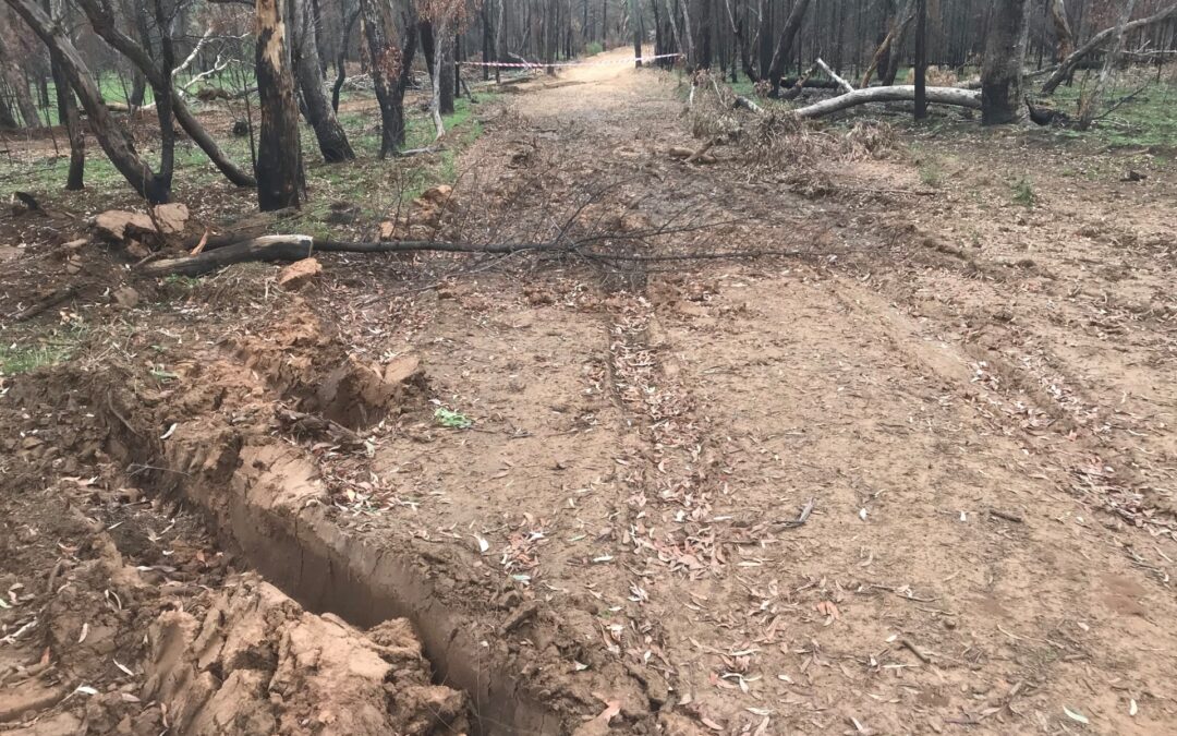 Damage assessment underway in state forests