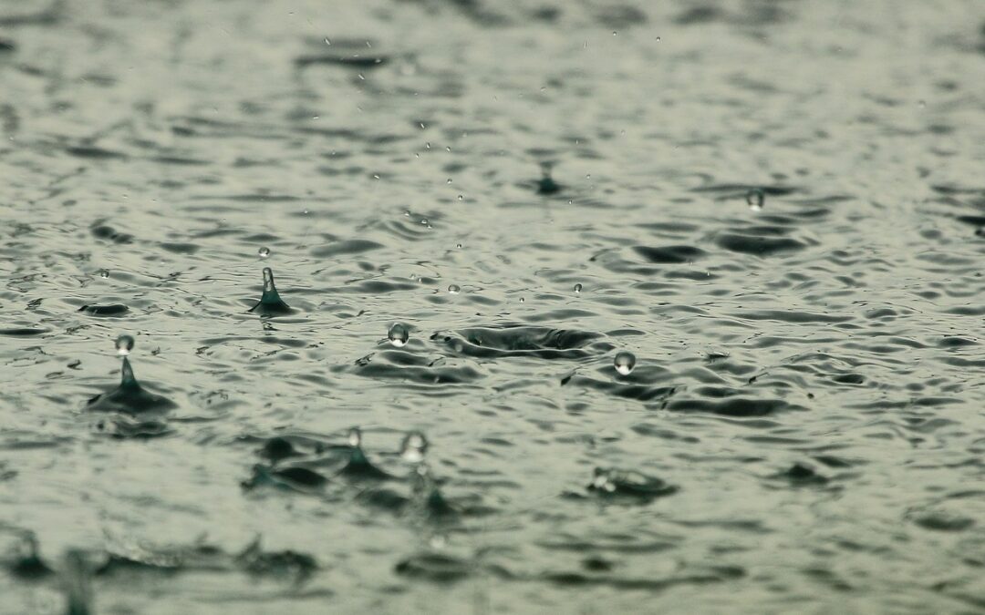 Ask Dr Bec: What causes the distinctive pleasant smell when it rains?