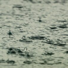 Ask Dr Bec: What causes the distinctive pleasant smell when it rains?