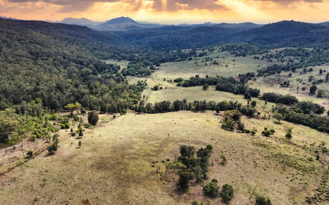 Versatile grazing, country with scenic views
