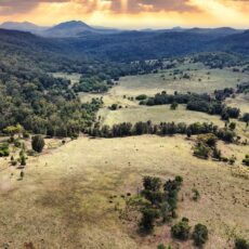 Versatile grazing, country with scenic views