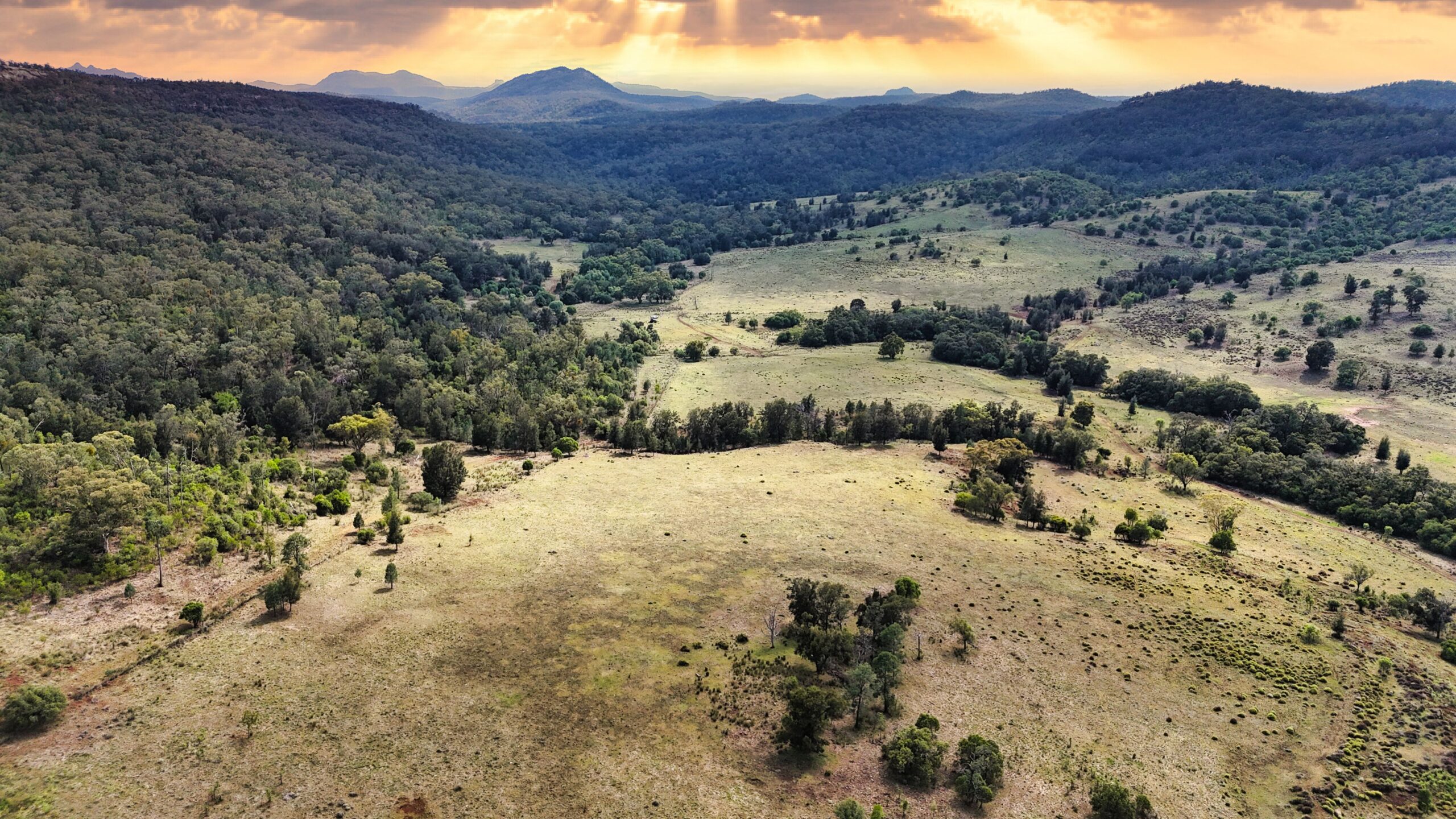 Versatile grazing, country with scenic views
