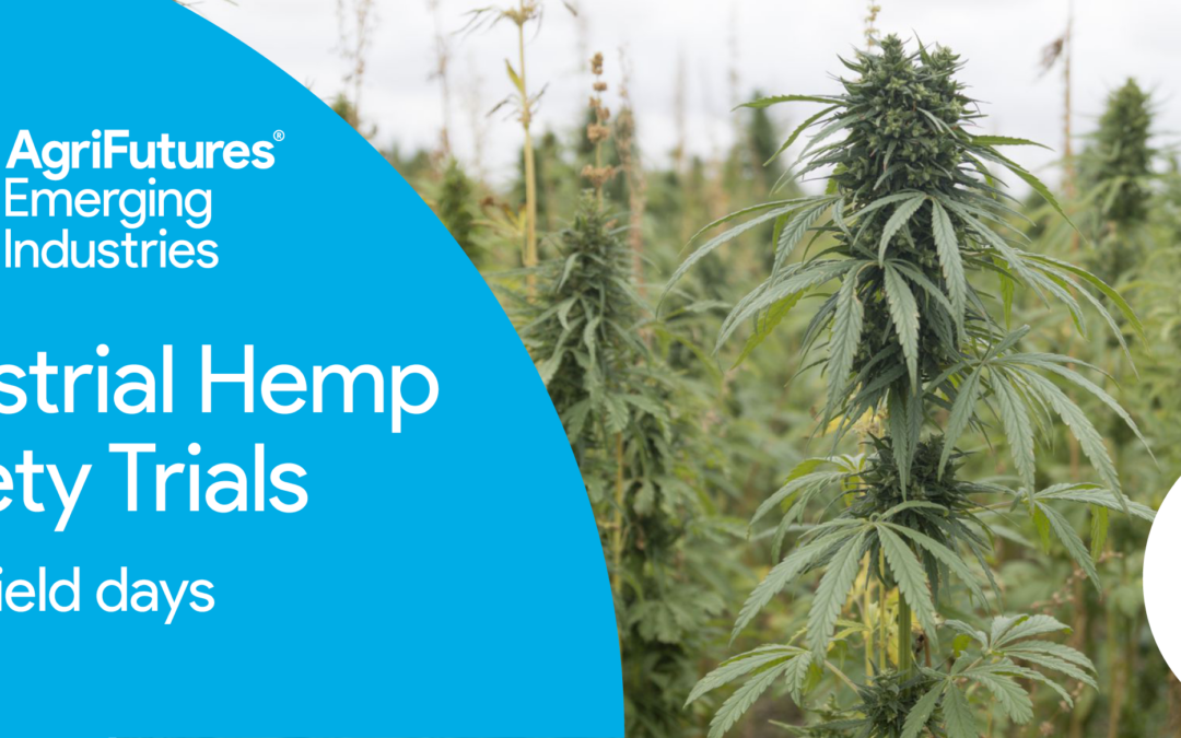 Diverse opportunities from industrial hemp to be showcased at field days