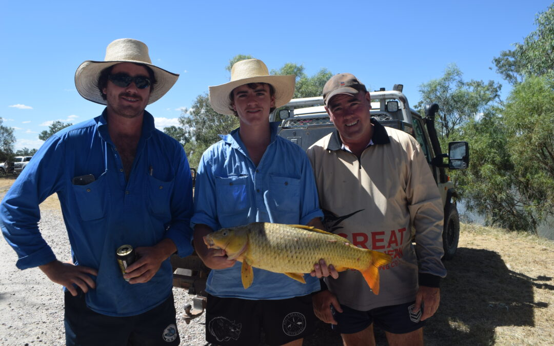 Wee Waa Carp muster catches big crowd on Australia Day