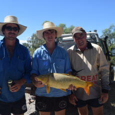 Wee Waa Carp muster catches big crowd on Australia Day