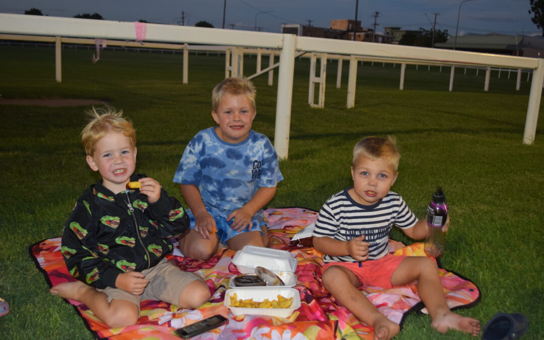Big crowds support NDWCA’s inaugural Pink Stumps Round | Gallery
