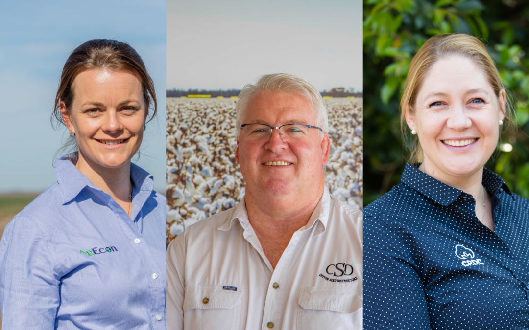 Uncovering key drivers  of profitability in cotton production