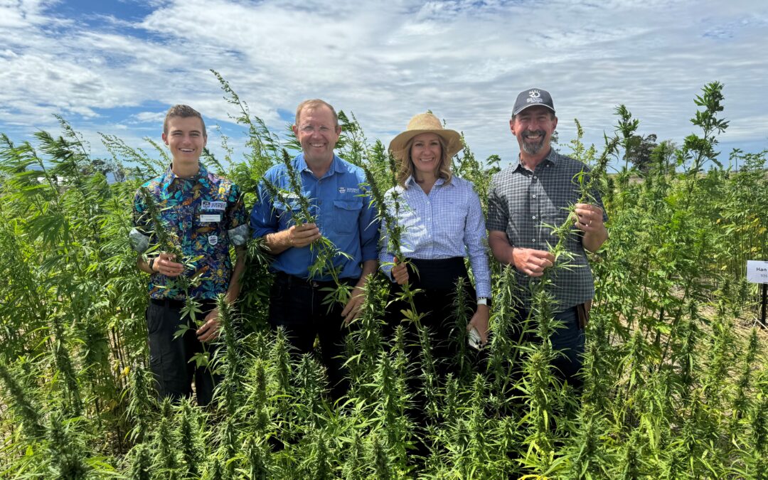 Possibilities of hemp on show