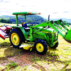 “Warralong” online clearing sale