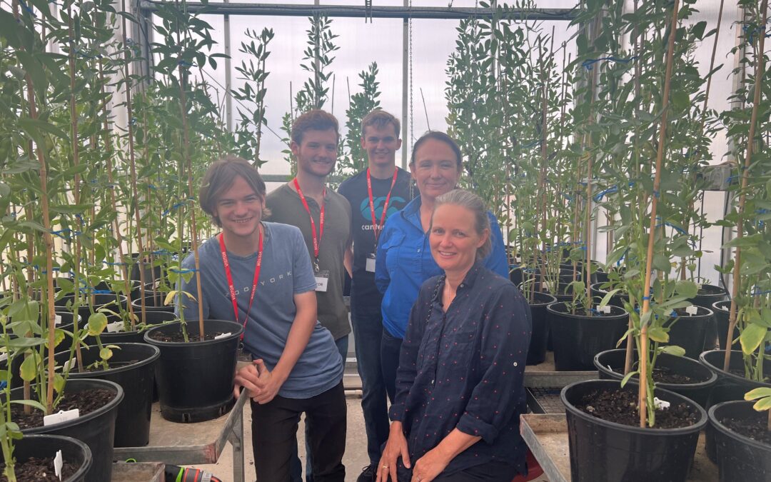 Young STEM enthusiasts tour Plant Breeding Institute