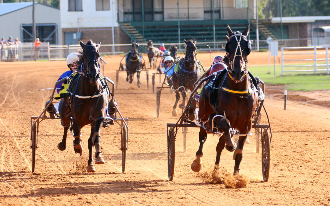 Narrabri Cup champion crowned as local harness racing club hosts second meeting of the year